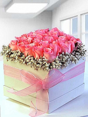 Kutuda Pembe Gller
